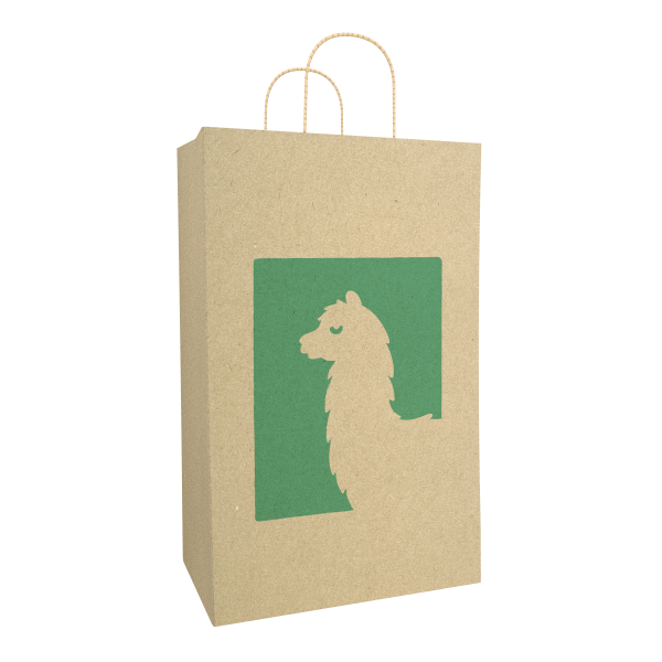 Create a custom kraft shopper bag.